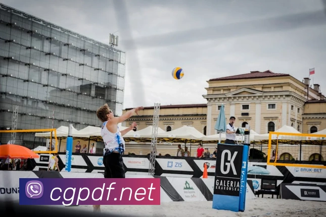 巅峰国际发展历程